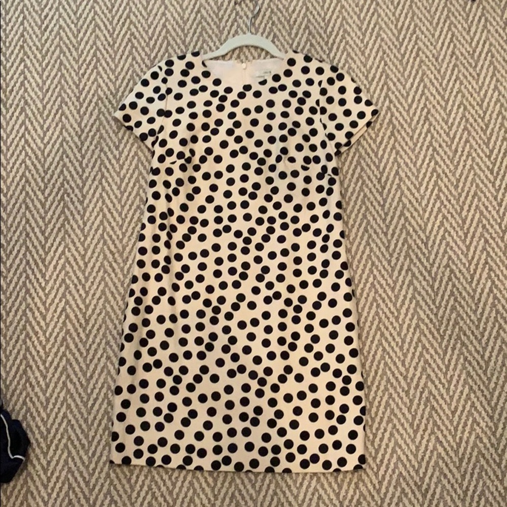Jcrew polka dot dress